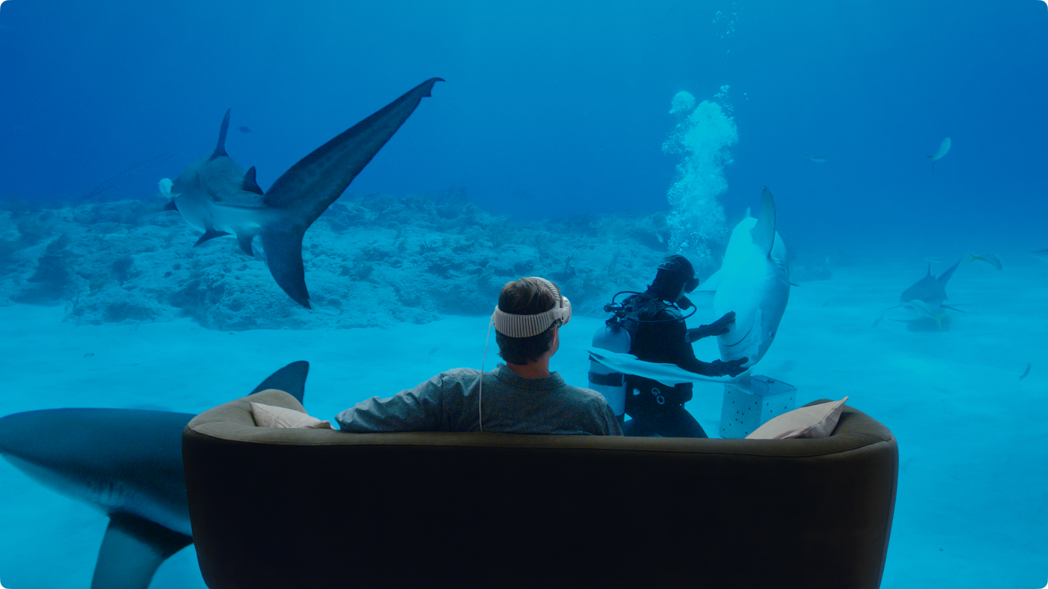 Apple Immersive Video interface showing high-resolution stereoscopic capture capabilities